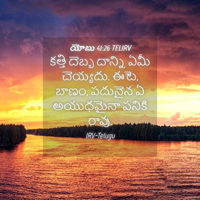 Picture 04 - యోబు 41:26 TELIRV - కత్తి దెబ్బ - Bible Verse Picture