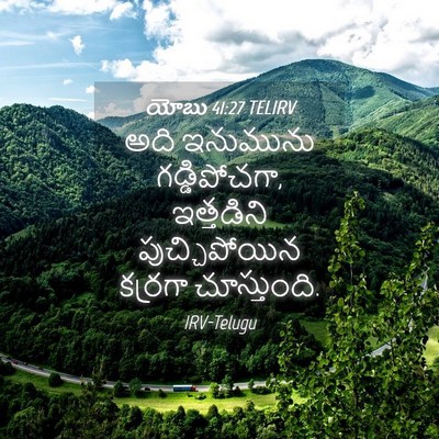 Picture 04 - యోబు 41:27 TELIRV - అది ఇనుమును - Bible Verse Picture