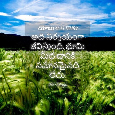 Picture 04 - యోబు 41:33 TELIRV - అది నిర్భయంగా - Bible Verse Picture