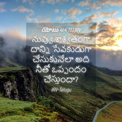 Picture 04 - యోబు 41:4 TELIRV - నువ్వు శాశ్వతంగా - Bible Verse Picture