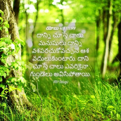 Picture 04 - యోబు 41:9 TELIRV - దాన్ని చూస్తే - Bible Verse Picture