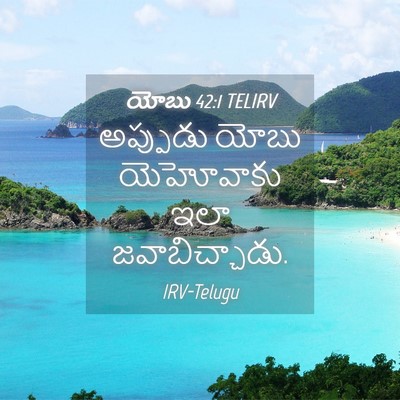 Picture 04 - యోబు 42:1 TELIRV - అప్పుడు యోబు - Bible Verse Picture