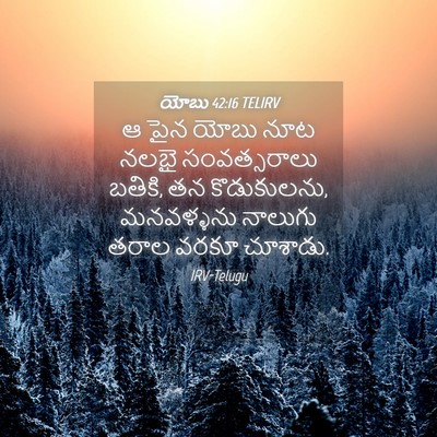 Picture 04 - యోబు 42:16 TELIRV - ఆ పైన యోబు నూట నలభై - Bible Verse Picture