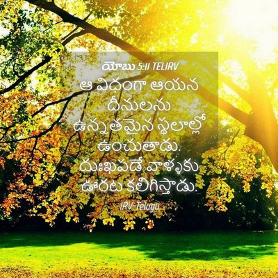 Picture 04 - యోబు 5:11 TELIRV - ఆ విధంగా ఆయన - Bible Verse Picture