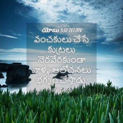 Picture 04 - యోబు 5:12 TELIRV - వంచకులు చేసే - Bible Verse Picture