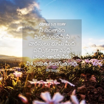 Picture 04 - యోబు 5:25 TELIRV - నీ సంతానం - Bible Verse Picture