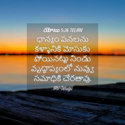 Picture 04 - యోబు 5:26 TELIRV - ధాన్యం పనలను - Bible Verse Picture