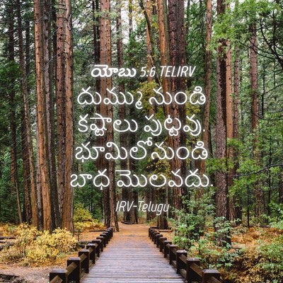 Picture 04 - యోబు 5:6 TELIRV - దుమ్ము నుండి - Bible Verse Picture