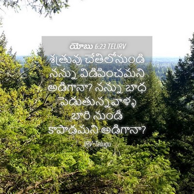 Picture 04 - యోబు 6:23 TELIRV - శత్రువు - Bible Verse Picture