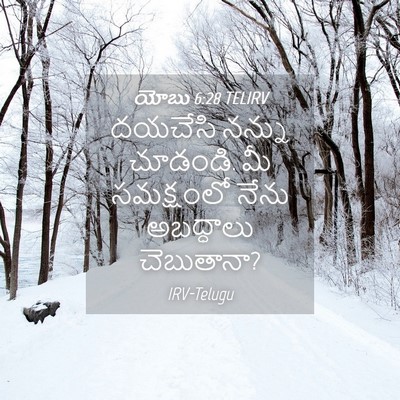 Picture 04 - యోబు 6:28 TELIRV - దయచేసి నన్ను - Bible Verse Picture