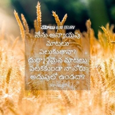 Picture 04 - యోబు 6:30 TELIRV - నేను అన్యాయపు - Bible Verse Picture