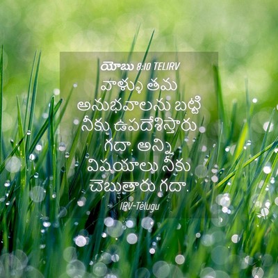 Picture 04 - యోబు 8:10 TELIRV - వాళ్ళు తమ - Bible Verse Picture