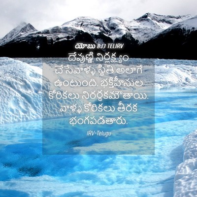 Picture 04 - యోబు 8:13 TELIRV - దేవుణ్ణి - Bible Verse Picture