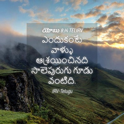 Picture 04 - యోబు 8:14 TELIRV - ఎందుకంటే వాళ్ళు - Bible Verse Picture