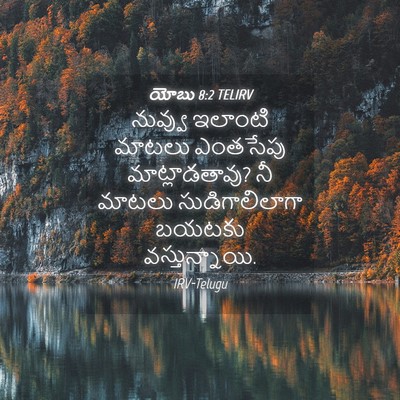 Picture 04 - యోబు 8:2 TELIRV - నువ్వు ఇలాంటి - Bible Verse Picture