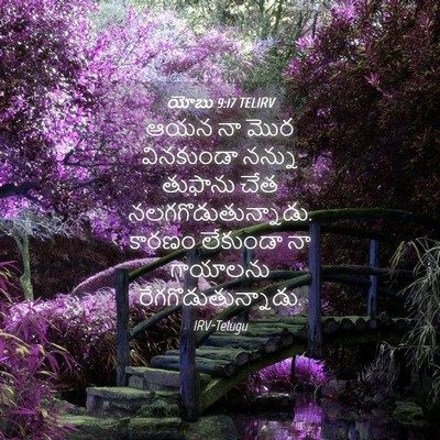 Picture 04 - యోబు 9:17 TELIRV - ఆయన నా మొర - Bible Verse Picture