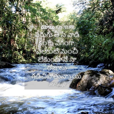 Picture 04 - యోబు 9:25 TELIRV - పరుగు తీసే వాడి - Bible Verse Picture