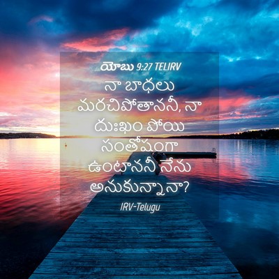 Picture 04 - యోబు 9:27 TELIRV - నా బాధలు - Bible Verse Picture