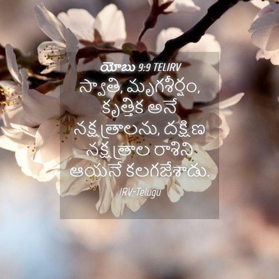 Picture 04 - యోబు 9:9 TELIRV - స్వాతి, మృగశీర్షం, - Bible Verse Picture