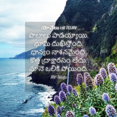 Picture 04 - యోవేలు 1:10 TELIRV - పొలాలు పాడయ్యాయి. - Bible Verse Picture