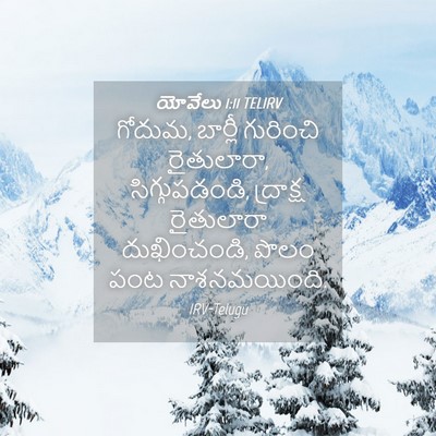 Picture 04 - యోవేలు 1:11 TELIRV - గోదుమ, బార్లీ - Bible Verse Picture