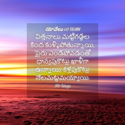 Picture 04 - యోవేలు 1:17 TELIRV - విత్తనాలు - Bible Verse Picture