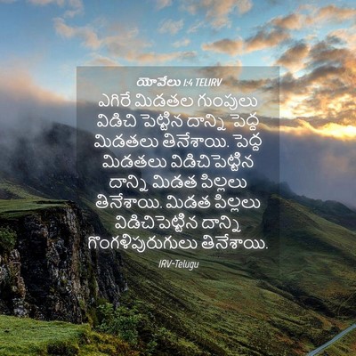 Picture 04 - యోవేలు 1:4 TELIRV - ఎగిరే మిడతల - Bible Verse Picture