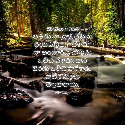 Picture 04 - యోవేలు 1:7 TELIRV - అతడు నా - Bible Verse Picture