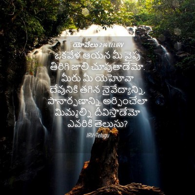 Picture 04 - యోవేలు 2:14 TELIRV - ఒకవేళ ఆయన మీ వైపు - Bible Verse Picture