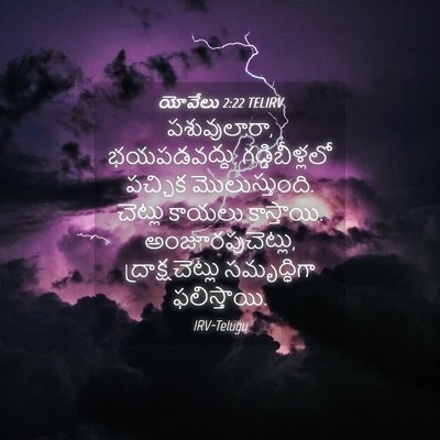 Picture 04 - యోవేలు 2:22 TELIRV - పశువులారా, - Bible Verse Picture