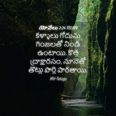Picture 04 - యోవేలు 2:24 TELIRV - కళ్ళాలు గోదుమ - Bible Verse Picture