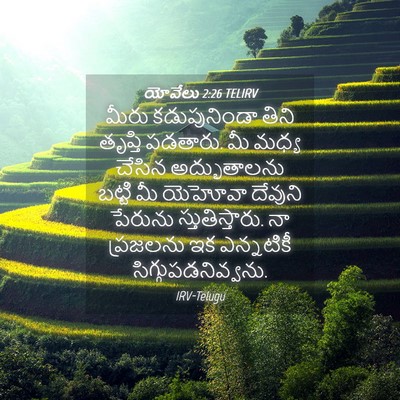 Picture 04 - యోవేలు 2:26 TELIRV - మీరు కడుపునిండా - Bible Verse Picture