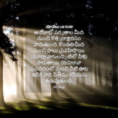 Picture 04 - యోవేలు 3:18 TELIRV - ఆ రోజుల్లో - Bible Verse Picture
