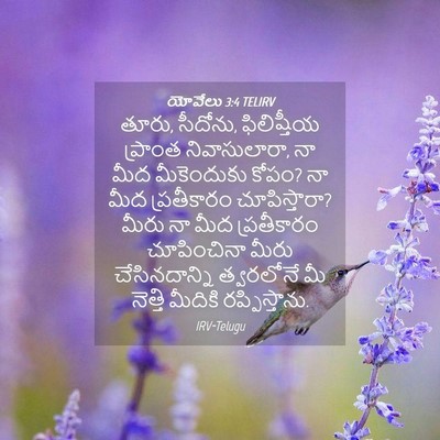 Picture 04 - యోవేలు 3:4 TELIRV - తూరు, సీదోను, - Bible Verse Picture