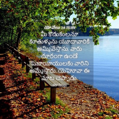 Picture 04 - యోవేలు 3:8 TELIRV - మీ కొడుకులనూ - Bible Verse Picture