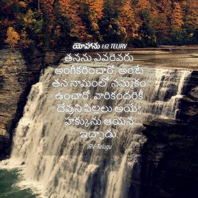 Picture 04 - యోహాను 1:12 TELIRV - తనను ఎవరెవరు - Bible Verse Picture