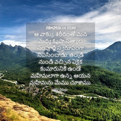 Picture 04 - యోహాను 1:14 TELIRV - ఆ వాక్కు శరీరంతో - Bible Verse Picture