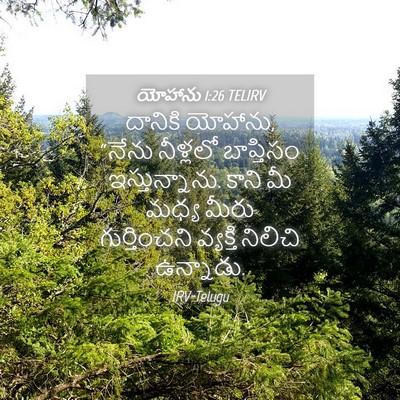 Picture 04 - యోహాను 1:26 TELIRV - దానికి యోహాను, - Bible Verse Picture