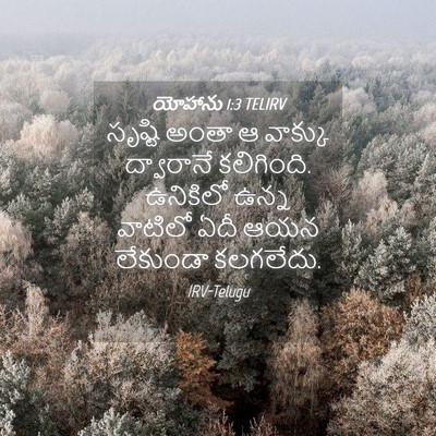 Picture 04 - యోహాను 1:3 TELIRV - సృష్టి అంతా ఆ - Bible Verse Picture