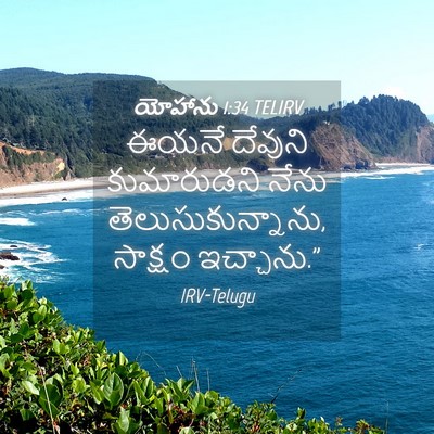 Picture 04 - యోహాను 1:34 TELIRV - ఈయనే దేవుని - Bible Verse Picture
