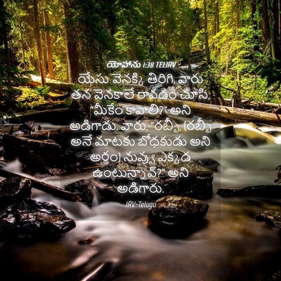 Picture 04 - యోహాను 1:38 TELIRV - యేసు వెనక్కి - Bible Verse Picture