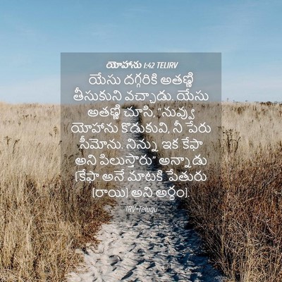 Picture 04 - యోహాను 1:42 TELIRV - యేసు దగ్గరికి - Bible Verse Picture