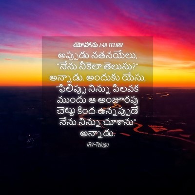 Picture 04 - యోహాను 1:48 TELIRV - అప్పుడు నతనయేలు, - Bible Verse Picture