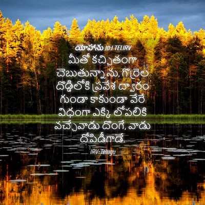 Picture 04 - యోహాను 10:1 TELIRV - మీతో కచ్చితంగా - Bible Verse Picture