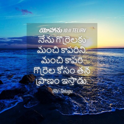 Picture 04 - యోహాను 10:11 TELIRV - నేను గొర్రెలకు - Bible Verse Picture
