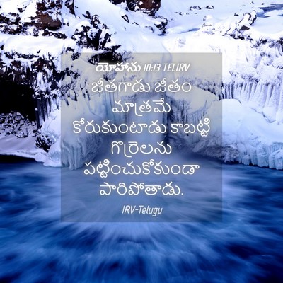 Picture 04 - యోహాను 10:13 TELIRV - జీతగాడు జీతం - Bible Verse Picture