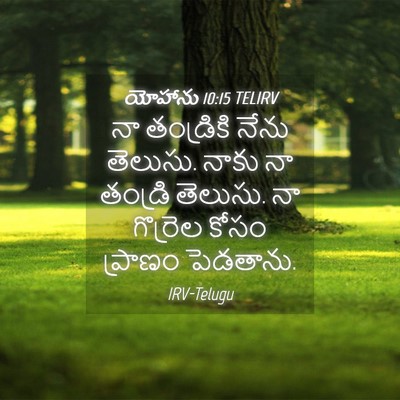 Picture 04 - యోహాను 10:15 TELIRV - నా తండ్రికి నేను - Bible Verse Picture