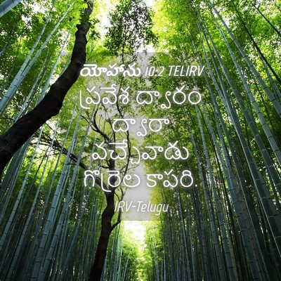 Picture 04 - యోహాను 10:2 TELIRV - ప్రవేశ ద్వారం - Bible Verse Picture
