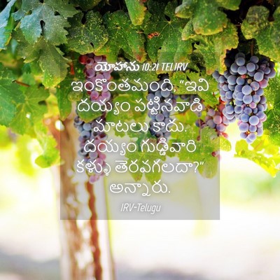 Picture 04 - యోహాను 10:21 TELIRV - ఇంకొంతమంది, “ఇవి - Bible Verse Picture