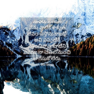 Picture 04 - యోహాను 10:28 TELIRV - నేను వాటికి - Bible Verse Picture